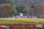 Cape Dutch Farmhouse, Hex River, South-Africa Cape Dutch Farmhouse, Hex River, South-Africa