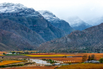 Colour & Snow In Hex River Valley, Hex River Valley, South-Africa