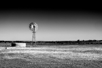 Windmill in Spring, Nieuwoudtville, Northern Cape, South-Africa