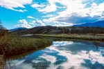 Landscape - Riversonderend River Reflections, Helderstroom, South-Africa - Kodak Ektar 100