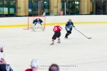 Cape Storms vs Cape Town Penguins Ice Hockey, Grand West Ice Station, Cape Town, South-Africa