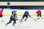 Cape Storms vs Cape Town Penguins Ice Hockey, Grand West Ice Station, Cape Town, South-Africa