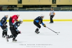 Cape Storms vs Cape Town Penguins Ice Hockey, Grand West Ice Station, Cape Town, South-Africa