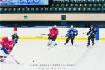 Cape Storms vs Cape Town Penguins Ice Hockey, Grand West Ice Station, Cape Town, South-Africa