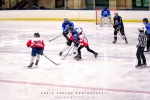 Cape Storms vs Cape Town Penguins Ice Hockey, Grand West Ice Station, Cape Town, South-Africa