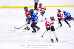 Cape Storms vs Cape Town Penguins Ice Hockey, Grand West Ice Station, Cape Town, South-Africa