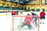 Cape Storms vs Cape Town Penguins Ice Hockey, Grand West Ice Station, Cape Town, South-Africa