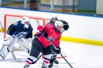 Cape Storms vs Cape Town Penguins Ice Hockey, Grand West Ice Station, Cape Town, South-Africa