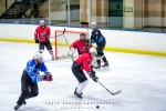 Cape Storms vs Cape Town Penguins Ice Hockey, Grand West Ice Station, Cape Town, South-Africa