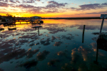 Sunrise at Bokkemlaan, Velddrif, South-Africa