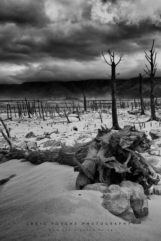 Infrared Landscape - Theewaterskloof Dam - Super Color IR Filter 590nm Infrared Monochrome