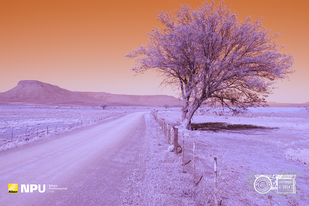 Infrared Landscape - Hantam Karoo, Nieuwoudtville, South-Africa - Hoya R72 Filter Infrared