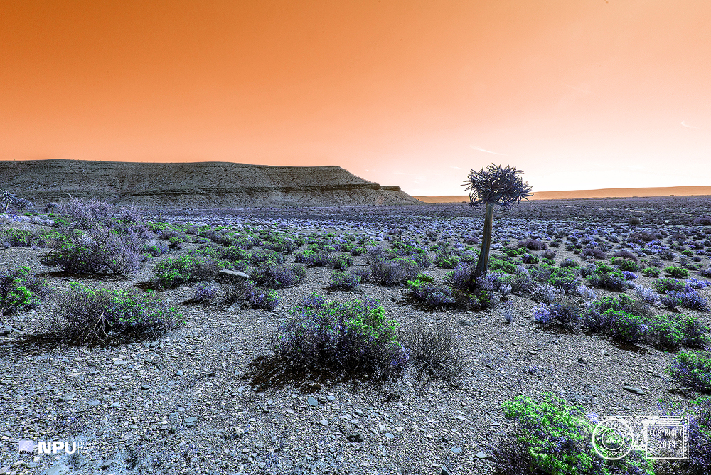 Infrared Landscape - Hantam Karoo - South Africa  Hoya R72 Filter Infrared