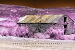 Infrared Landscape - Stillness, Moordenaars / Roggeveld Karoo Region, South-Africa  - Super Color IR Filter 590nm Infrared