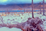 Infrared Landscape - Theewaterskloof Dam, Villersdorp, South-Africa - Super Color IR Filter 590nm Infrared