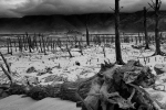 Infrared Landscape - Theewaterskloof Dam - Super Color IR Filter 590nm Infrared Monochrome