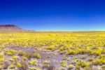 Infrared Landscape - Vastness, Tankwa Karoo National Park, South-Africa  - Super Color IR Filter 590nm Infrared