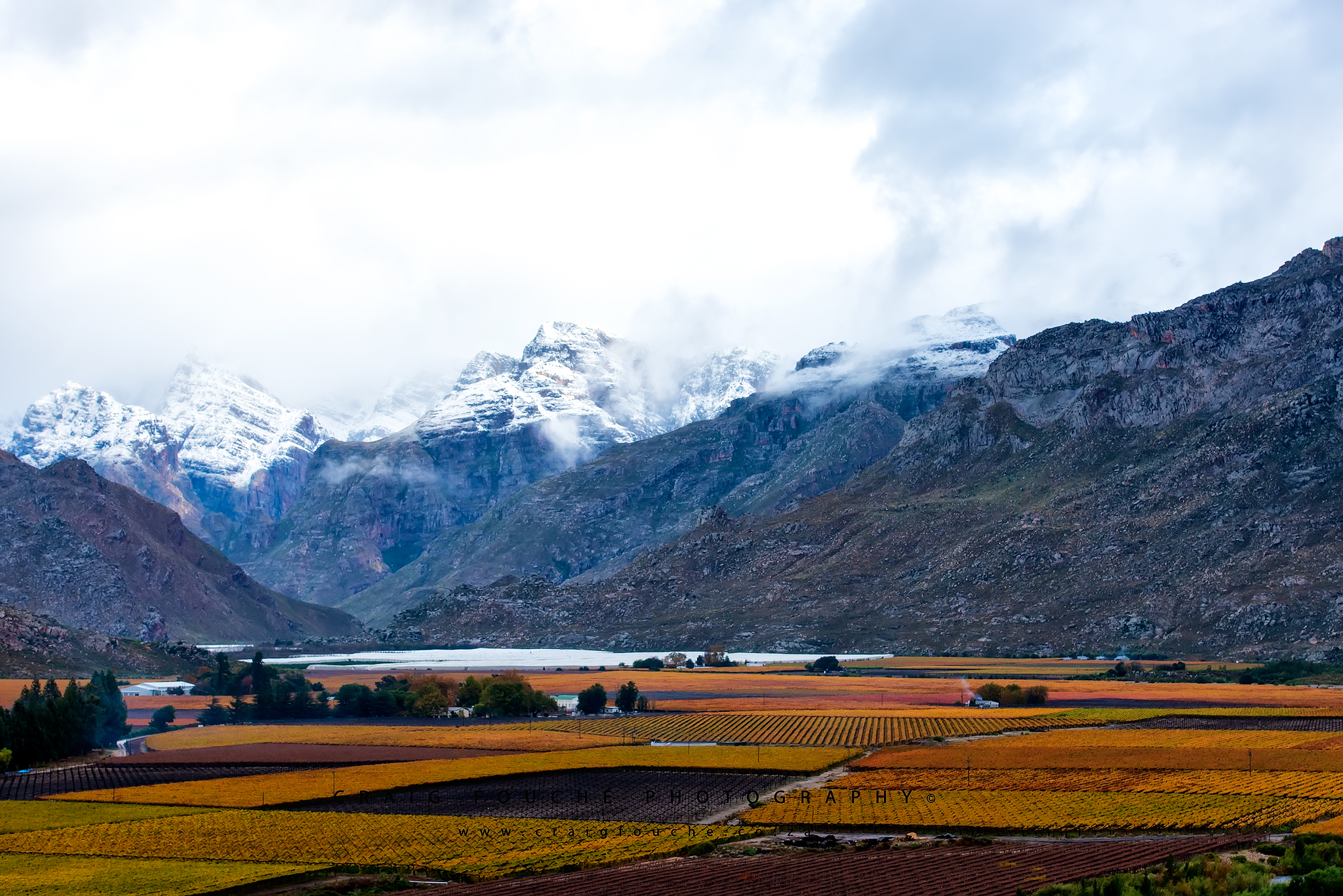 Autumn Patches & Snow In Hex River Valley, Hex River Valley, South-Africa