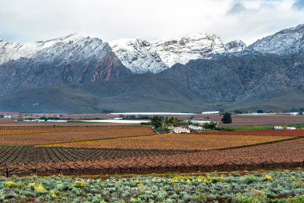 First Winter Snow, Hex River Valley, South-Africa