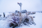 Karoo Highlands Snowfall, Rogge Cloof Reserve, Sutherland, South-Africa