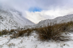 Mountain Snow Scenes, Matroosberg Reserve, South-Africa