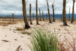 The Winds of Change Blow Hope, Theewaterskloof Dam, Villiersdorp, South-Africa