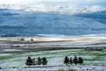 The Eight Trees, Matroosberg, South-Africa