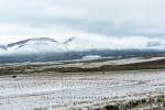 Snow Scenes, Matroosberg, South-Africa