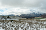 Patterns In The Snow, Matroosberg, South-Africa