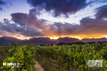 Sunset, Slanghoek Valley, Worcester, South-Africa