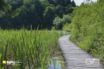 Lake Boardwalk, Plitvice Lakes National Park, Plitvička Jezera, Croatia