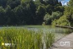 Lake Boardwalk, Plitvice Lakes National Park, Plitvička Jezera, Croatia Lake Boardwalk, Plitvice Lakes National Park, Plitvička Jezera, Croatia