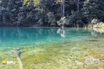 Lake, Plitvice Lakes National Park, Plitvička Jezera, Croatia