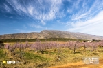 Springtime, Barrydale, South Africa Springtime, Barrydale, South Africa