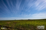 Streaky Clouds, Porterville, South Africa Streaky Clouds, Porterville, South Africa