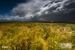 Swartland Storm, Porterville, South Africa