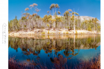 Landscape - Reflections, Koo Valley, Montagu, South-Africa | Kodak Ektar 100