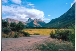 Landscape - Dwarsberg Vineyards, Rawsonville, South-Africa - Kodak Portra 400