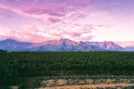 Landscape - Pastel Sunsets in Slanghoek Valley - Konica Centuria 100