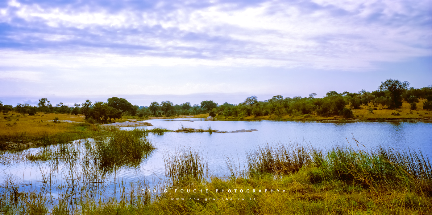 Landscape - Transport Dam, Kruger National Park, South-Africa - Kodak Portra 400