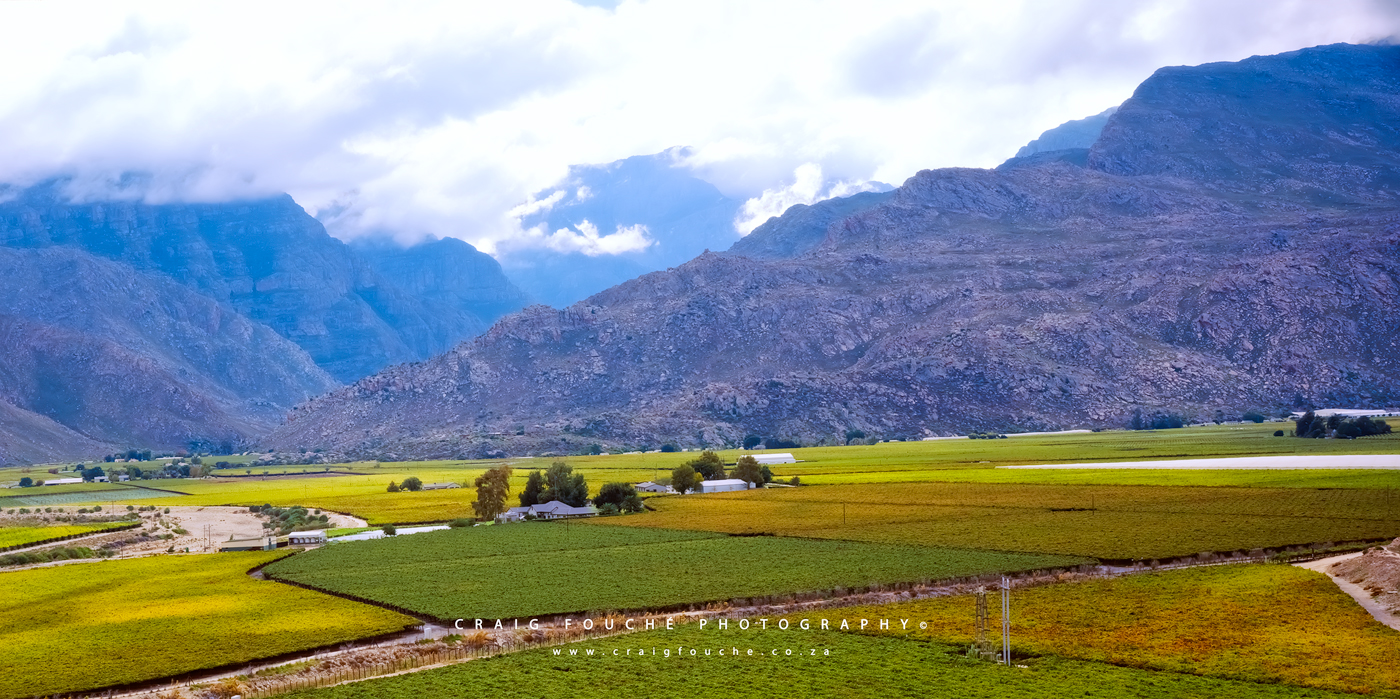 Landscape - Autumn Colours, Hex River Valley, South-Africa - Kodak Ektar 100