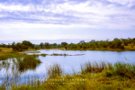 Landscape - Transport Dam, Kruger National Park, South-Africa - Kodak Portra 400