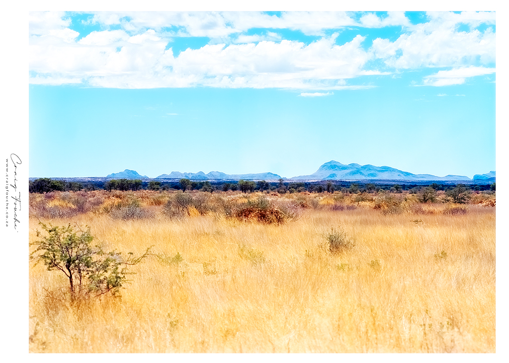 Landscape - Grasslands Scene - Windhoek Surrounds, Namibia - Kodak Ektar 100