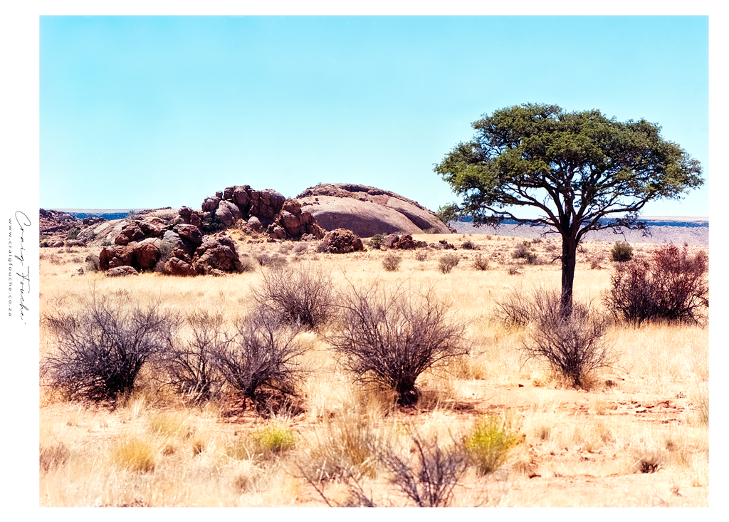 Landscape - Veld Scene - Windhoek Surrounds, Namibia - Kodak Ektar 100