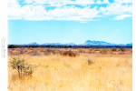 Landscape - Grasslands Scene - Windhoek Surrounds, Namibia - Kodak Ektar 100