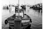 Seascapes - Harbour Scenes, Kalk Bay Harbour- № 1, South-Africa | Kodak Tri-X 400 / 400TX