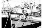 Seascapes - Harbour Scenes, Kalk Bay Harbour- № 2, South-Africa | Kodak Tri-X 400 / 400TX