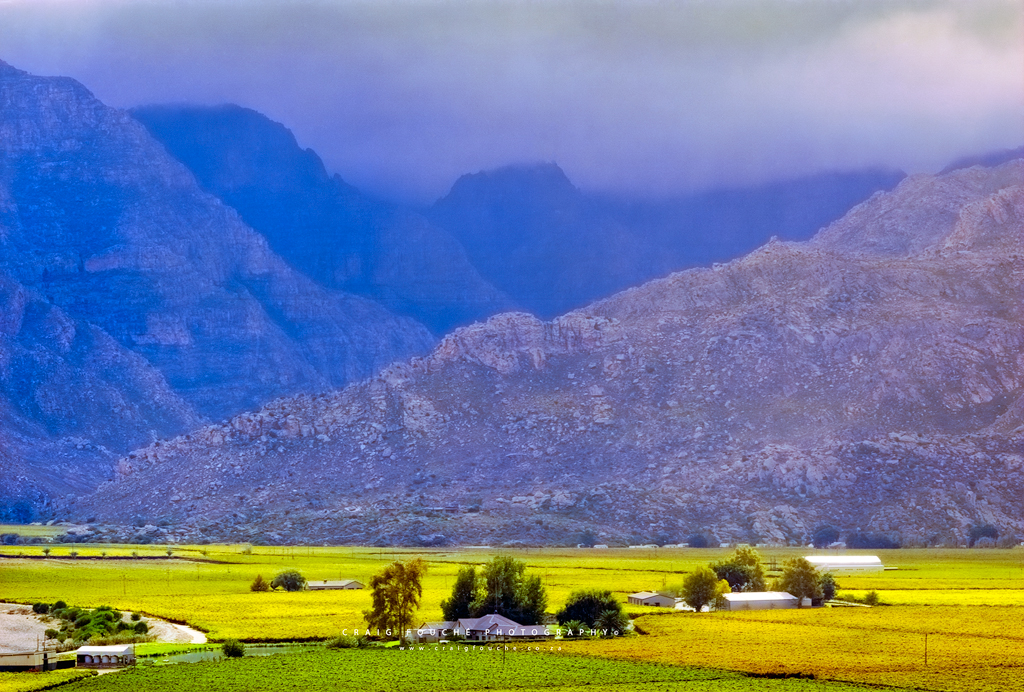 Landscape - Season Change At Hex River Valley, Hex River Valley, South-Africa - Kodak Ektar 100
