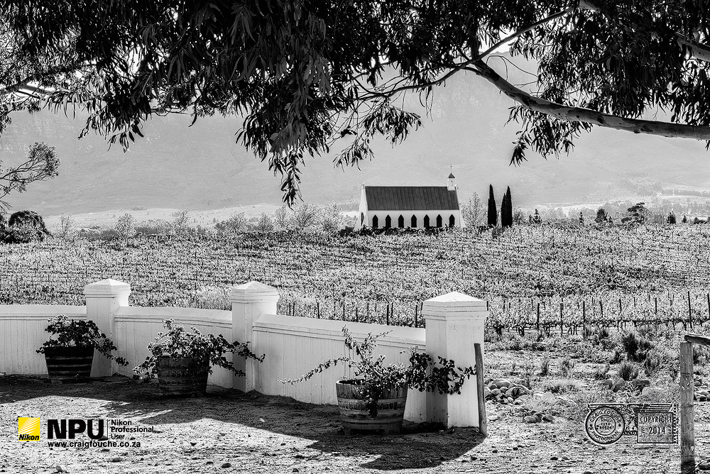 Montpellier de Tulbagh in Late Autumn, Tulbagh, South-Africa