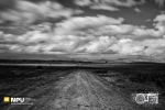 After the Storm, Riebeeck-Kasteel, Western Cape, South-Africa